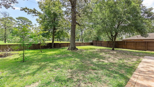 Houston 1-story, 3-bed 1202 Burning Tree Road-idx