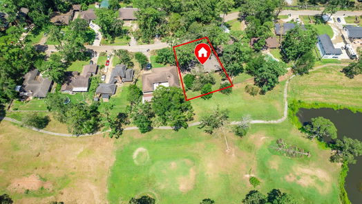 Houston 1-story, 3-bed 1202 Burning Tree Road-idx