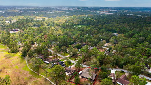 Houston 1-story, 3-bed 1202 Burning Tree Road-idx