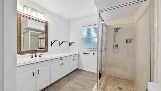 Houston 1-story, 3-bed 1202 Burning Tree Road-idx