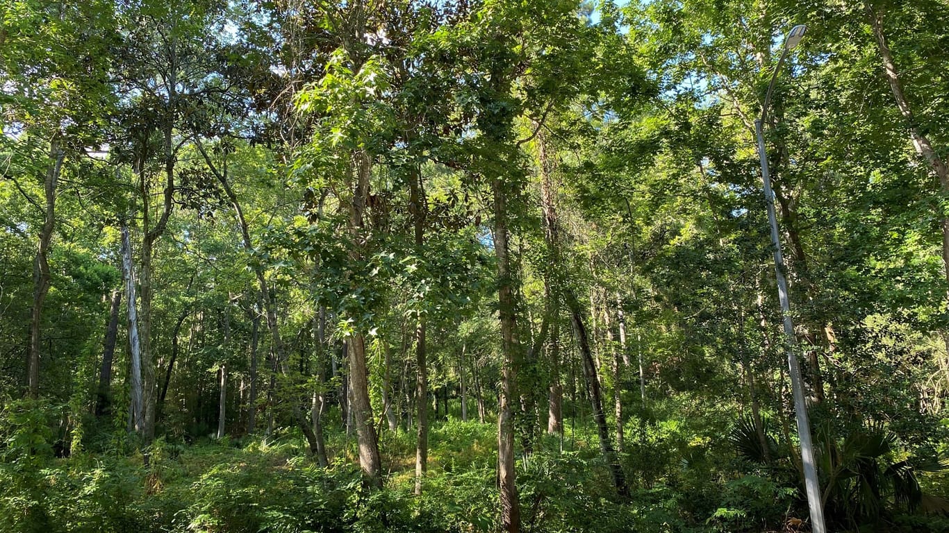 Kingwood null-story, null-bed 2707 Royal Circle Drive-idx