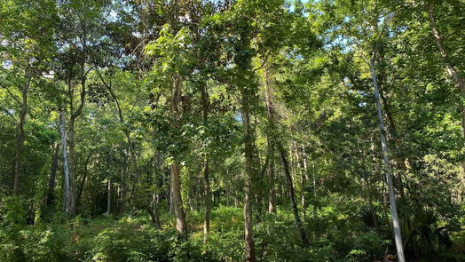 Kingwood null-story, null-bed 2707 Royal Circle Drive-idx