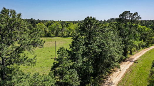 Huntsville null-story, null-bed 11 Acres Black Jack Rd-idx