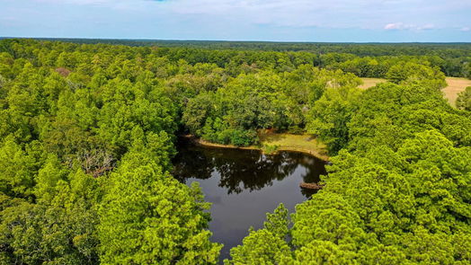 Huntsville null-story, 3-bed 737 Hardy Bottom Road-idx
