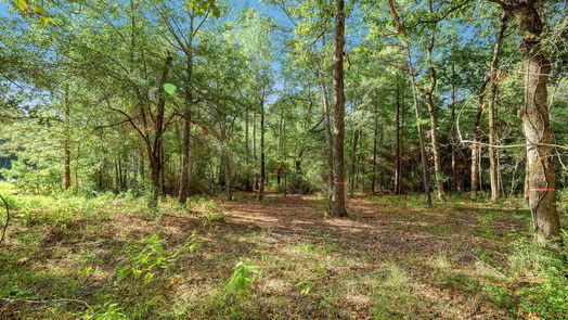 Huntsville null-story, null-bed 189 Rim Rock Road-idx