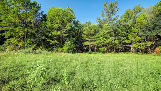 Huntsville null-story, null-bed 189 Rim Rock Road-idx