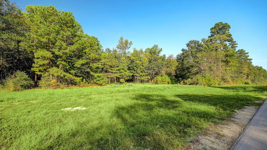 Huntsville null-story, null-bed 189 Rim Rock Road-idx