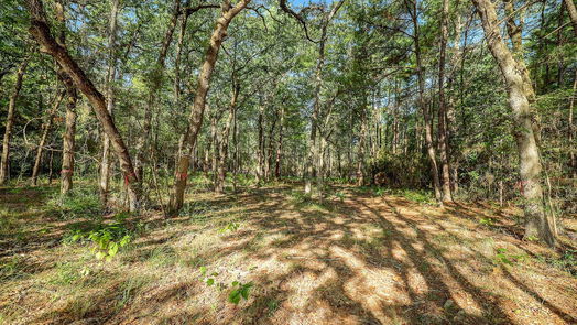 Huntsville null-story, null-bed 189 Rim Rock Road-idx