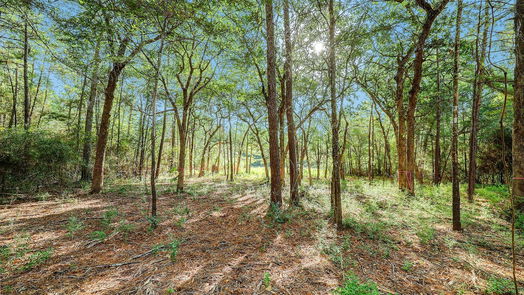 Huntsville null-story, null-bed 189 Rim Rock Road-idx