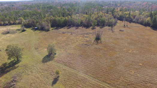 Huntsville null-story, null-bed 14.16 Acres Tract 2 TBD Percy Howard Road Road-idx