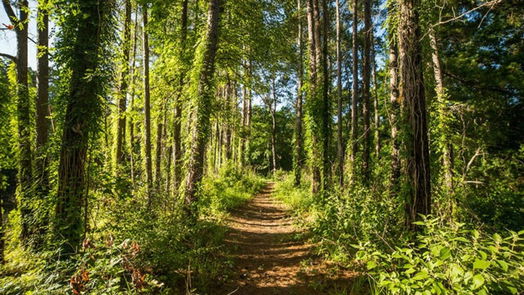 Huntsville null-story, null-bed 0 Dedication Trail-idx