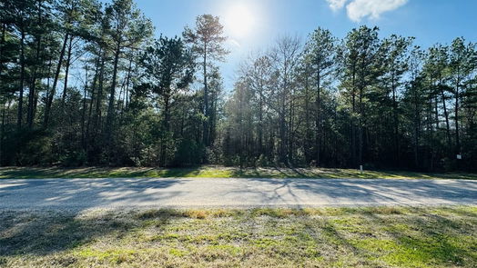 Huntsville null-story, null-bed Lot 13A Texas Grand Road-idx