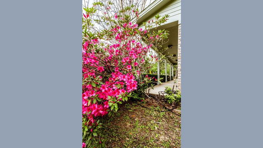 Huntsville null-story, 2-bed 137 Augusta Drive-idx