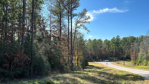 Huntsville null-story, null-bed 2-6-68 Hereford Trail-idx