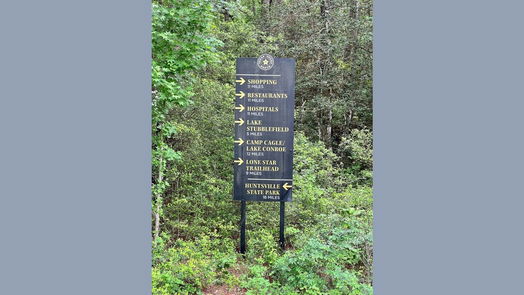 Huntsville null-story, null-bed Lot 61 Retreat Road-idx