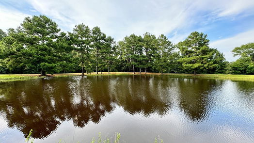 Huntsville 1-story, 3-bed 88 Bakers Lane-idx