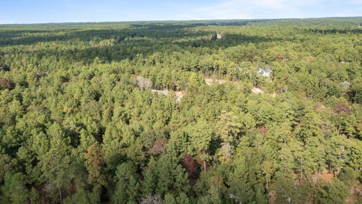 Huntsville null-story, null-bed 181 Sanctuary Road-idx