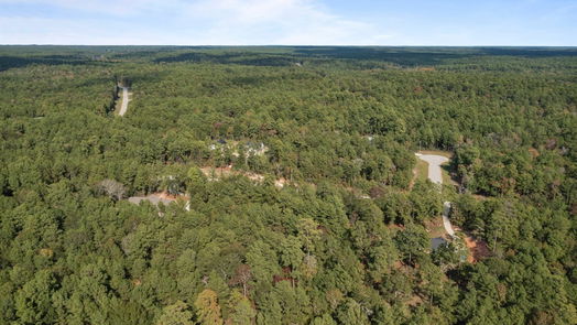 Huntsville null-story, null-bed 181 Sanctuary Road-idx