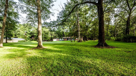 Huntsville 1-story, 4-bed 50 Southwood Forest Road-idx