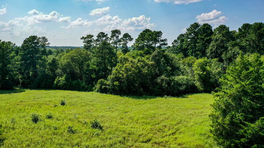 Huntsville null-story, null-bed 34 Acres FM 1374-idx