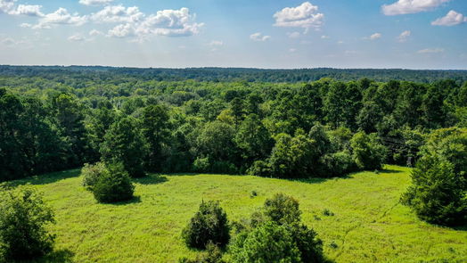 Huntsville null-story, null-bed 34 Acres FM 1374-idx