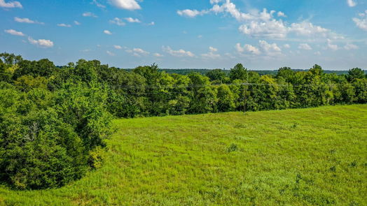 Huntsville null-story, null-bed 34 Acres FM 1374-idx