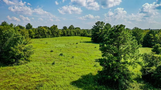 Huntsville null-story, null-bed 34 Acres FM 1374-idx