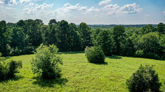 Huntsville null-story, null-bed 34 Acres FM 1374-idx