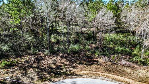 Huntsville null-story, null-bed lot 42 Pyrite Court-idx