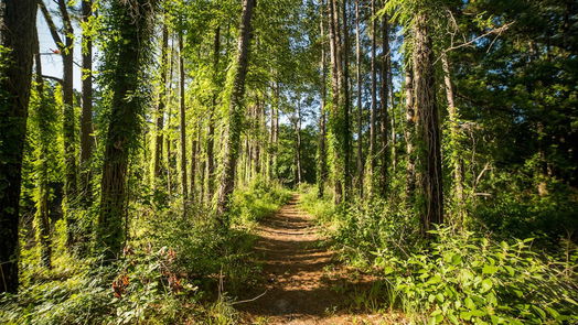 Huntsville null-story, null-bed 5-27-13 Feldspar Lane-idx