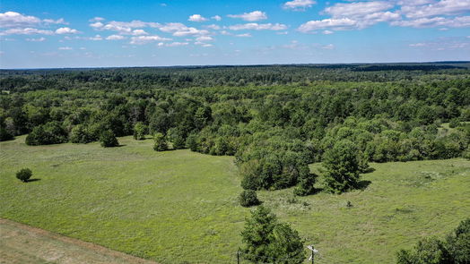 Huntsville null-story, null-bed 225 Acres FM 1374-idx