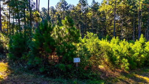 Huntsville null-story, null-bed TBD Red Hawk Road-idx