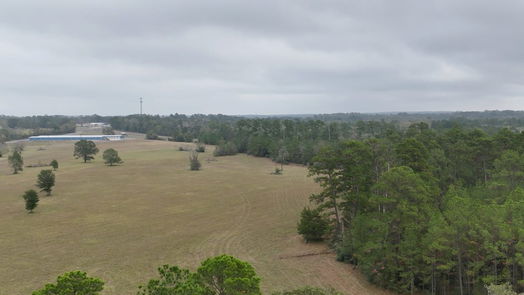 Huntsville null-story, null-bed 13.14 Acres Tract 4 TBD Percy Howard Road-idx