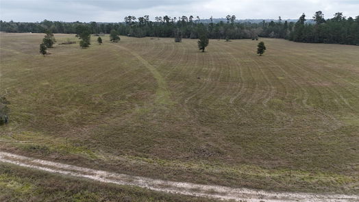 Huntsville null-story, null-bed 13.86 acres Tract 3 TBD Percy Howard Road-idx