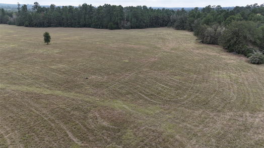 Huntsville null-story, null-bed 13.86 acres Tract 3 TBD Percy Howard Road-idx