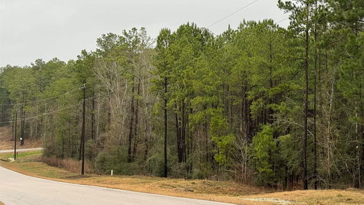 Huntsville null-story, null-bed 11-24-77 Tranquil Lane-idx