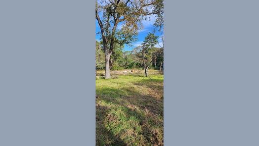 Huntsville null-story, 2-bed 1577 US Highway 190 A-idx