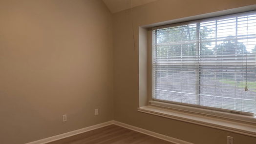 Houston 2-story, 4-bed 3210 Echo Mountain Drive-idx