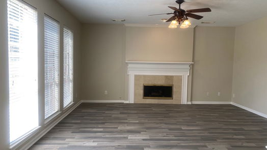 Houston 2-story, 4-bed 3210 Echo Mountain Drive-idx