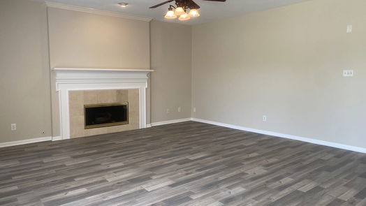 Houston 2-story, 4-bed 3210 Echo Mountain Drive-idx