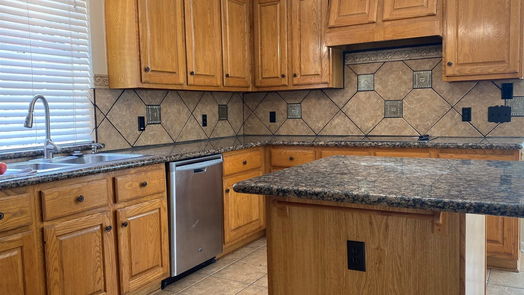 Houston 2-story, 4-bed 3210 Echo Mountain Drive-idx