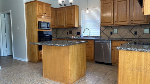 Houston 2-story, 4-bed 3210 Echo Mountain Drive-idx