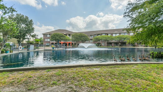 Houston 1-story, 1-bed 2815 Kings Crossing Drive 115-idx