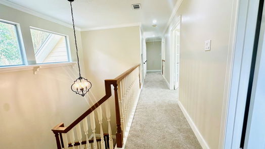 Houston 2-story, 4-bed 5003 Maple Terrace Drive-idx