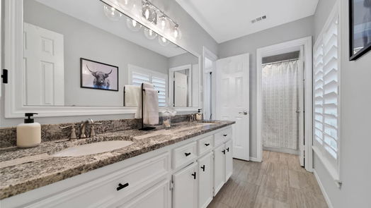 Houston 2-story, 4-bed 2107 Grand Mesa Drive-idx