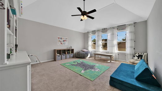 Houston 2-story, 4-bed 2107 Grand Mesa Drive-idx