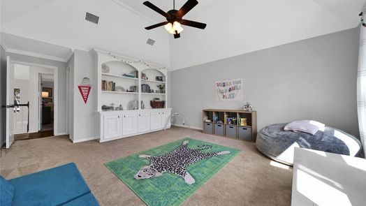 Houston 2-story, 4-bed 2107 Grand Mesa Drive-idx