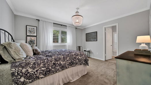 Houston 2-story, 4-bed 2107 Grand Mesa Drive-idx
