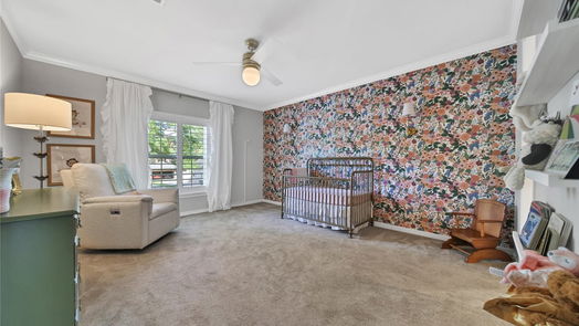 Houston 2-story, 4-bed 2107 Grand Mesa Drive-idx