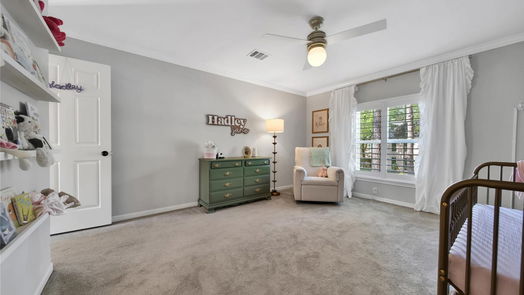 Houston 2-story, 4-bed 2107 Grand Mesa Drive-idx